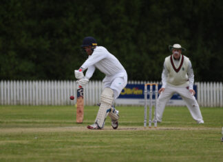 Millicent and Naracoorte Cricket back on