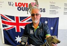 Australia Day winners come from far and wide