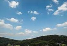 Save on your shop with RAA