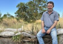 Mount Burr Swamp restoration continues