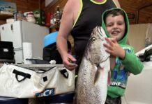 Anglers flood Limestone Coast for peak fishing weather