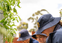 Growing Skills from Garden to Table