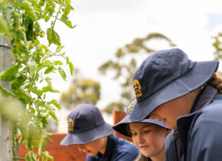 Growing Skills from Garden to Table