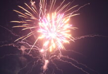 Call for committee members