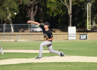 Central holds off charging Federal