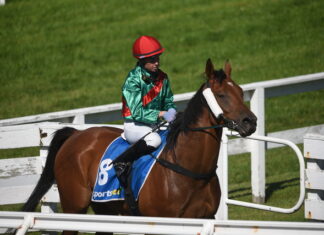 Sweet home-town cup victory