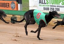 Cup contenders impress in final hit-outs