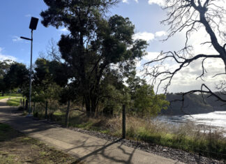 Warwar lit up after upgrade