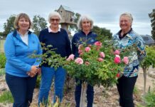 Women’s golf shines in Lucindale