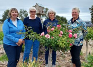 Women’s golf shines in Lucindale