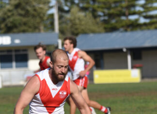 Roosters in fine form at home