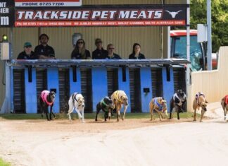 One good turn deserves another