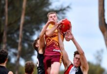 Eagles expectations soar for the sky