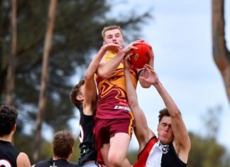 Eagles expectations soar for the sky