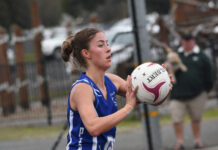 Cats on fire early, but Saints lift