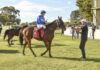 Naracoorte racing success