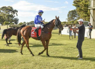 Naracoorte racing success